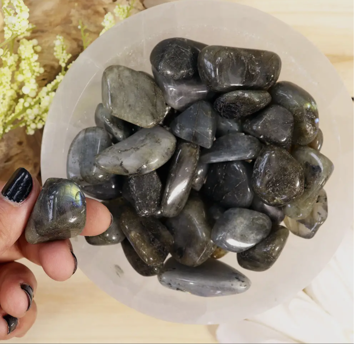 Pleiadian Starseed Stones Kit