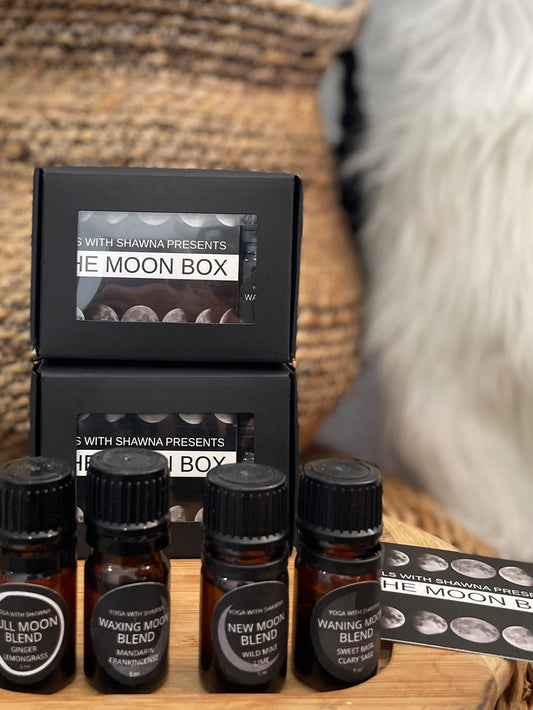 The Moon Box