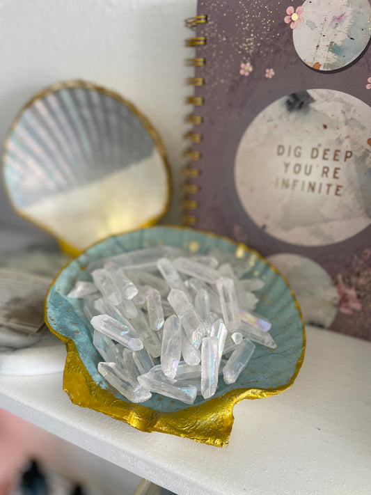 Clamshell Trinket Tray